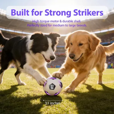 FIFA World Cup 2026 Neo Light Soccer Ball Dog Toy - Image 8