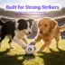 FIFA World Cup 2026 Neo Light Soccer Ball Dog Toy image thumbnail 8