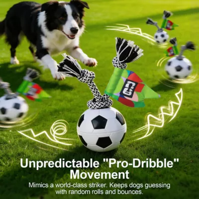FIFA World Cup 2026 Turbo Spin Soccer Ball Dog Toy - Image 5