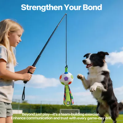 FIFA World Cup 2026 Action Chase Pole Dog Toy - Image 3