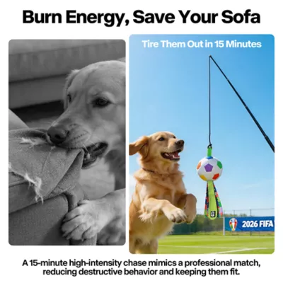 FIFA World Cup 2026 Action Chase Pole Dog Toy - Image 4
