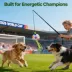 FIFA World Cup 2026 Action Chase Pole Dog Toy image thumbnail 8