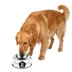 FIFA World Cup 2026 Pet Soccer Bowl - Black, S-L image thumbnail 2