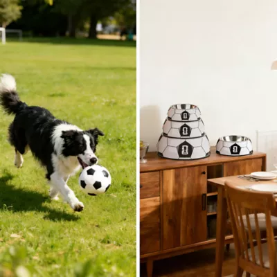 FIFA World Cup 2026 Pet Soccer Bowl - Black, S-L - Image 5