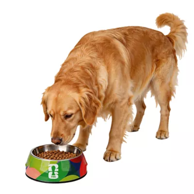 FIFA World Cup 2026 Pet Bowl - FIFA Color Pop, S-L - Image 1