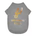 San Antonio Spurs Champion Tee image thumbnail 1