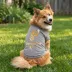 San Antonio Spurs Champion Tee image thumbnail 3