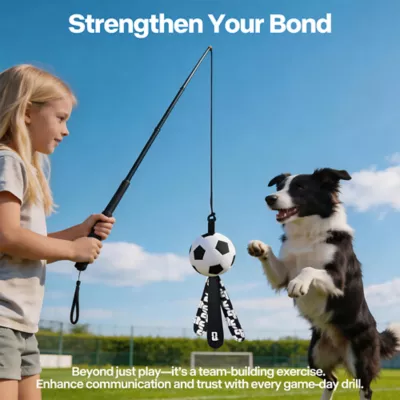 FIFA World Cup 2026 Action Chase Pole Dog Toy - Image 3