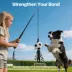 FIFA World Cup 2026 Action Chase Pole Dog Toy image thumbnail 3