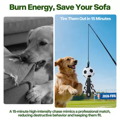 FIFA World Cup 2026 Action Chase Pole Dog Toy - Image 4