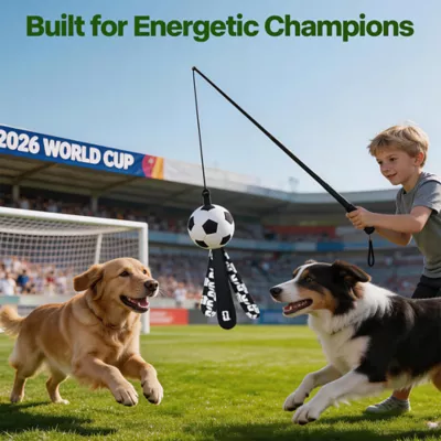 FIFA World Cup 2026 Action Chase Pole Dog Toy - Image 8