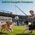 FIFA World Cup 2026 Action Chase Pole Dog Toy image thumbnail 8