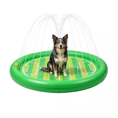 FIFA World Cup 2026 Aqua Sprinkling Pool Dog Mat - Image 1