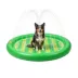 FIFA World Cup 2026 Aqua Sprinkling Pool Dog Mat image thumbnail 1