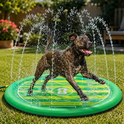 FIFA World Cup 2026 Aqua Sprinkling Pool Dog Mat - Image 2