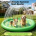 FIFA World Cup 2026 Aqua Sprinkling Pool Dog Mat image thumbnail 4