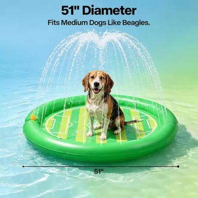 FIFA World Cup 2026 Aqua Sprinkling Pool Dog Mat - Image 7