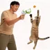 FIFA World Cup 2026 Cat Pro Ball Launcher image thumbnail 4