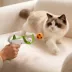 FIFA World Cup 2026 Cat Pro Ball Launcher image thumbnail 6