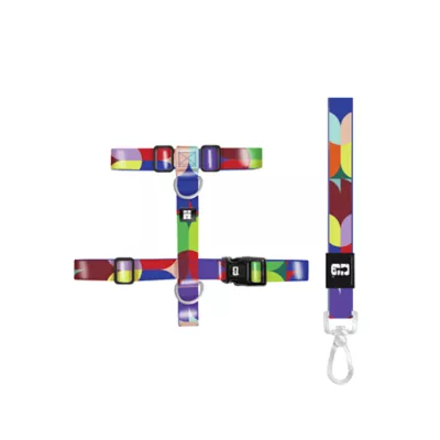 FIFA World Cup 2026 Cat Walking Set - Image 1
