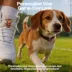 FIFA World Cup 2026 Mascots Collar Wagbits - Host Countries 3-Pack image thumbnail 4