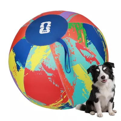 FIFA World Cup 2026 Herding Play Ball Dog Toy - Image 1
