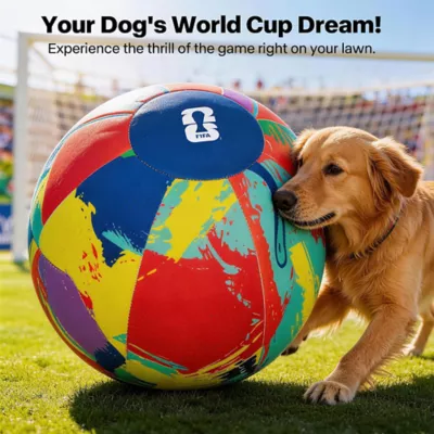FIFA World Cup 2026 Herding Play Ball Dog Toy - Image 2