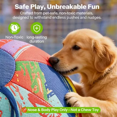 FIFA World Cup 2026 Herding Play Ball Dog Toy - Image 3