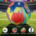 FIFA World Cup 2026 Herding Play Ball Dog Toy image thumbnail 4