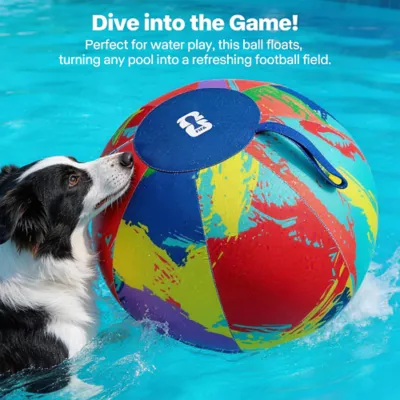 FIFA World Cup 2026 Herding Play Ball Dog Toy - Image 5