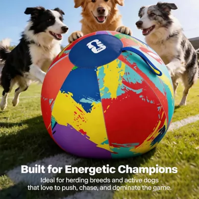 FIFA World Cup 2026 Herding Play Ball Dog Toy - Image 7