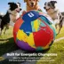 FIFA World Cup 2026 Herding Play Ball Dog Toy image thumbnail 7