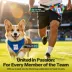 FIFA World Cup 2026 PawSwag Dog USA Bandana image thumbnail 6