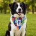 FIFA World Cup 2026 PawSwag Dog USA Bandana image thumbnail 3