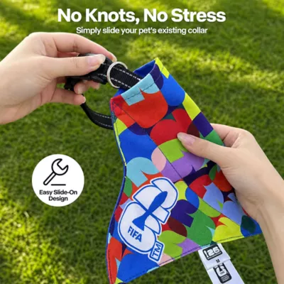 FIFA World Cup 2026 PawSwag Dog USA Bandana - Image 5