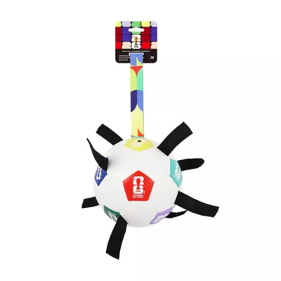 FIFA World Cup 2026 Power Grip Soccer Ball Dog Toy - Image 1