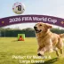 FIFA World Cup 2026 Pro Throw Automatic Ball Launcher image thumbnail 7