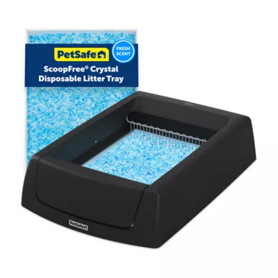 PetSafe® ScoopFree Crystal Classic Self-Cleaning Litter Box, Includes 1 Disposable Litter Tray-Black - Image 1