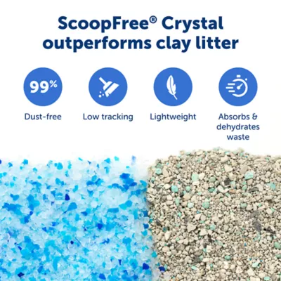 PetSafe® ScoopFree Crystal Classic Self-Cleaning Litter Box, Includes 1 Disposable Litter Tray-Black - Image 6
