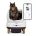 PetSafe® ScoopFree OpenSky Self-Cleaning Cat Litter Box W/ Remote App Monitoring image thumbnail 10