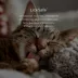 Pet Parents Flea & Tick Pet Wipees, Expels & Prevents Fleas, Ticks & Mosquiitos, Unscented- 100 Ct image thumbnail 7
