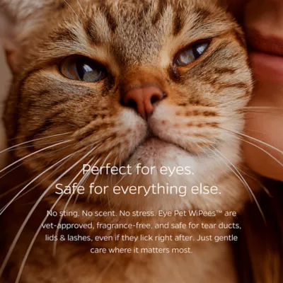 Pet Parents Eye Pet Wipees(TM) W/ Natural Scent, Eliminate Eye Boogers & Sooth Irritation - Image 2