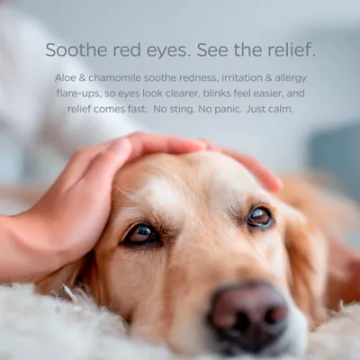 Pet Parents Eye Pet Wipees(TM) W/ Natural Scent, Eliminate Eye Boogers & Sooth Irritation - Image 4