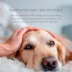 Pet Parents Eye Pet Wipees(TM) W/ Natural Scent, Eliminate Eye Boogers & Sooth Irritation image thumbnail 4