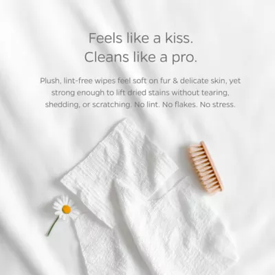 Pet Parents Eye Pet Wipees(TM) W/ Natural Scent, Eliminate Eye Boogers & Sooth Irritation - Image 5