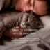 Pet Parents Antiseptic Pet Wipees(TM) W/ Natural Scent, Clinically Clean & Comfortably Calm image thumbnail 4
