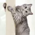 Yaheetech 54in Rattan Cat Tree With Breathable Woven Condo, Scratching Posts & Washable cushions image thumbnail 4