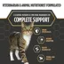 Nulo Prowess All in One Wet Cat Food - Shreds in Broth, 2.8 oz image thumbnail 8