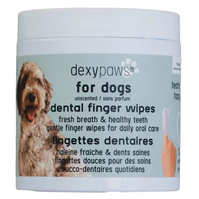 Dexypaws Dental Finger Wipes for Dogs, Pet Dental Wipes, 100 Count - Image 1