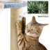 Yaheetech Cat Tree, 35.5" Cat Tower, Cat House with Scratching Posts & Padded Perch - Blue&Cream image thumbnail 4